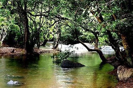 Anizham Jungle Star Thirunelly Exterior foto